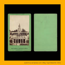 33 Genial Flohe Im Garten Check More At Https Www Opticrhythm Com Flohe Im Garten Garten Ideen Breslau