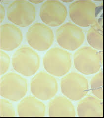 Escort girl pittsburg ca : Amanda mendes xxx onlyfans