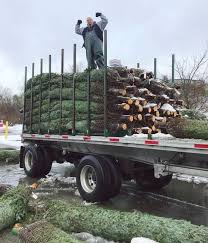 Every customer buying their tree at stew's receives a complimentary fresh cut and will have their tree tied to their car, plus they'll feel . Stew Leonard S Fresh Christmas Trees Are Here Daily Deliveries Starting At 24 99 We Ll Help You Choose The Perfect Tree Plus Free Fresh Cut Free Magic Netting
