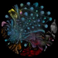 We did not find results for: Stem Cell Line Wikipedia