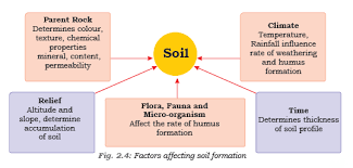 Check spelling or type a new query. Cbse Notes Class 8 Geography Chapter 2 Land Soil Water Natural Vegetation And Wildlife Resources For Revision