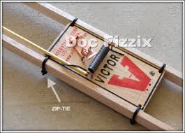 Maybe you would like to learn more about one of these? Mousetrap Cars Instructions Construction Tip Attaching The Mousetrap