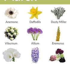 Maybe you would like to learn more about one of these? 9 Flowers To Look Forward To In March Blooms By The Box