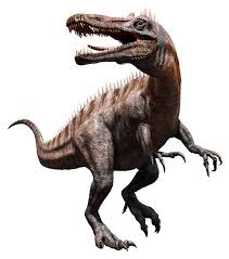 Image result for Suchomimus