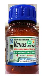 Venus 300EC