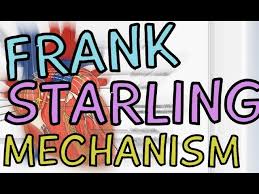 Starling's laws represent the movement of fluid across a capillary membrane. Biology Help Frank Starling Mechanism Stroke Volume Preload End Diastolic Volume Youtube