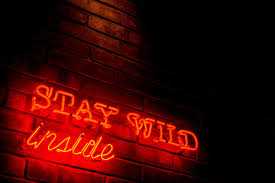 Stay Wild Inside Red Neon Sign Free Stock Photo Stock Photo Bucket Neon Signs Neon Quotes Neon Sign Art