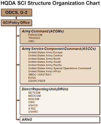 75 Studious Army Netcom Organization Chart