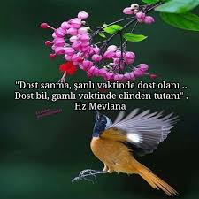 Serap Adli Kullanicinin Eyv Allah Eyvallahmedya Panosundaki Pin Guzel Soz Ozlu Sozler Islam