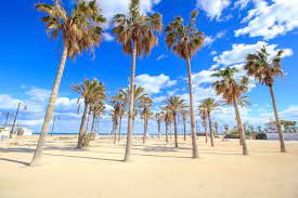 Hgtv takes you to the most beautiful beaches down the southern california coast, from los angeles to orange county to san diego. Top 7 Beaches In Valencia Placesofjuma