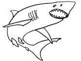 Check spelling or type a new query. Sharks Coloring Pages