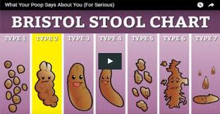 Heres What Your Stool Can Tell You About Your Health