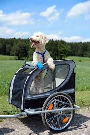 Fahrradanhanger Fur Kleine Hunde Hundebuggy Guide De