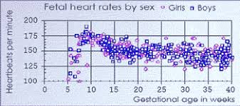 Heart Beat Chart Baby Bedowntowndaytona Com