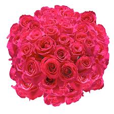 Best valentine flowers near me. Valentine S Day Flowers Hot Pink Roses Globalrose