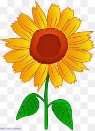 Doodle Unduh Gratis Kertas Notebook Doodle Clip Art Corat Coret Gambar Png En dibujosonline.net encontrarás muchísimos dibujos de girasol para colorear online totalmente gratis. kertas notebook doodle clip art