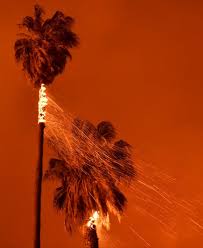 In A Warming California A Future Of More Fire The New York Times 120 animated images of burning flames in all manifestations and situations. in a warming california a future of