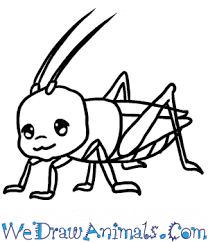 How To Draw A Baby Grasshopper