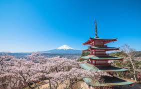 Where To Get The Best Views Of Mount Fuji Time Out Tokyo