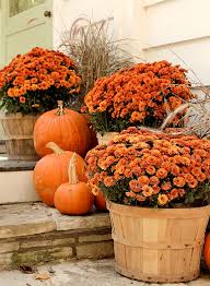 Autumn Ness Discovered By Missvaninna On We Heart It Vintage Fall Decor Mums In Pumpkins Fall Outdoor