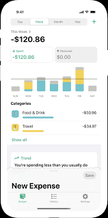 On the flip side, the app requires a bit of a learning curve due to all its features. Fin Budget Tracking App For The Iphone
