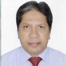 What are these Mega fossils?