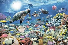 Maybe you would like to learn more about one of these? Extra Large Jigsaw Puzzles Giant Puzzles Not For The Faint Hearted