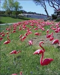 What S Wrong With A Plastic Pink Flamingo Plastic Pink Flamingos Flamingo Pink Flamingos