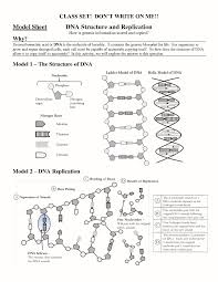 Found worksheet you are looking for? Dna Replication Coloring Worksheet Answer Key Promotiontablecovers