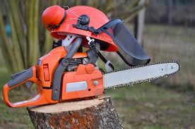 Call us today for a free quote on stump removal or grinding and which is the best option for your. Stump Grinding San Diego Tree Trimming Pros Tree Removal Services