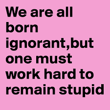 We are all born ignorant,but one must work hard to remain stupid - Post by  eira on Boldomatic