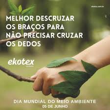 Dia do meio ambiente na escola e na sociedade. Dia Do Meio Ambiente Ekotex Quimica