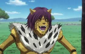 Cheetu Hunter X Hunter Hunter X Hunter Furry Art Anime