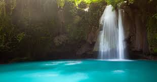 The Kawasan Falls Cebu Philippines Framed Art Print By Elena Ermakova Vector Black Medium Gallery 20x26 In 2020 Kawasan Falls Philippines Cebu