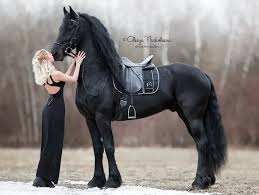 We did not find results for: 12 Most Beautiful Horse Breeds In The World Pictures Facts History