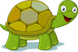 Cartoon Turtle Png Turtle Png Image And Clipart Cartoon Turtle Cute Cartoon Pictures Cartoon Pics