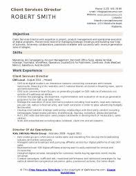 client services director resume samples