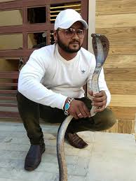 Snake Catcher Dies As Python Bites Him