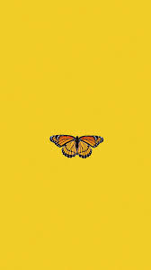 Check spelling or type a new query. Aesthetic Pastel Yellow Butterfly Wallpaper Novocom Top