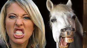 images?q=tbn:ANd9GcRoa6DYZfdHDeMn0QfpmwW