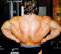 92 Color Dorian Yates 4 Large 1 Jpg 902 797 Dorian Yates Bodybuilding Mr Olympia