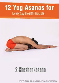 12 Yogasanas That You Should Exercise Daily Ramdev Yoga Easy Yoga Workouts Wellness Yoga
