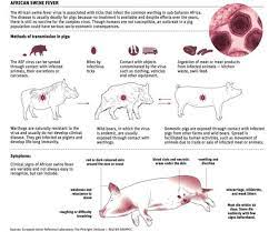 Gaming African Swine Fever Paxsims