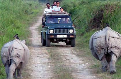 Book Jeep Safari in Western Range Bagori: Price, Timings