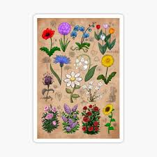 Check spelling or type a new query. Minecraft Flower Sticker Set Sticker By Aarcadia Redbubble