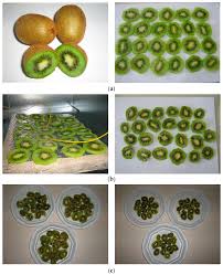 Check spelling or type a new query. Applied Sciences Free Full Text Evaluation Of Design Parameters On Drying Of Kiwi Fruit Html