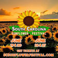 South Carolina Sunflower Festival Home Facebook