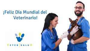 La fecha se recuerda en conmemoración de un 6 de agosto de 1883 cuando se inauguraron las clases del instituto superior de agronomía y veterinaria en el predio de santa catalina en la localidad de llavallol, provincia de. Hoy Es El Dia Mundial De Los Veterinarios Syva
