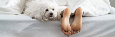 In diesem alter werden je nach wachstum, kinderbetten der größe 60×120 cm zu klein. Bett Fur Grosse Personen