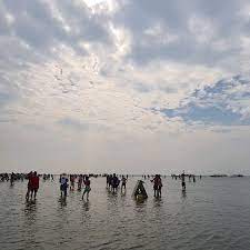 D tours at kuala selangor, pasir penambang, selangor, malaysia. D Tours Kuala Selangor Eagle Feeding Fireflies Watch Scenic Lookout In Kuala Selangor